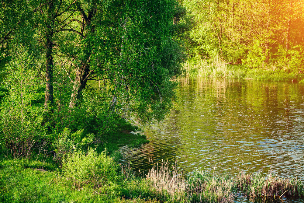 Sunset over river Royalty-Free Stock Image - Storyblocks