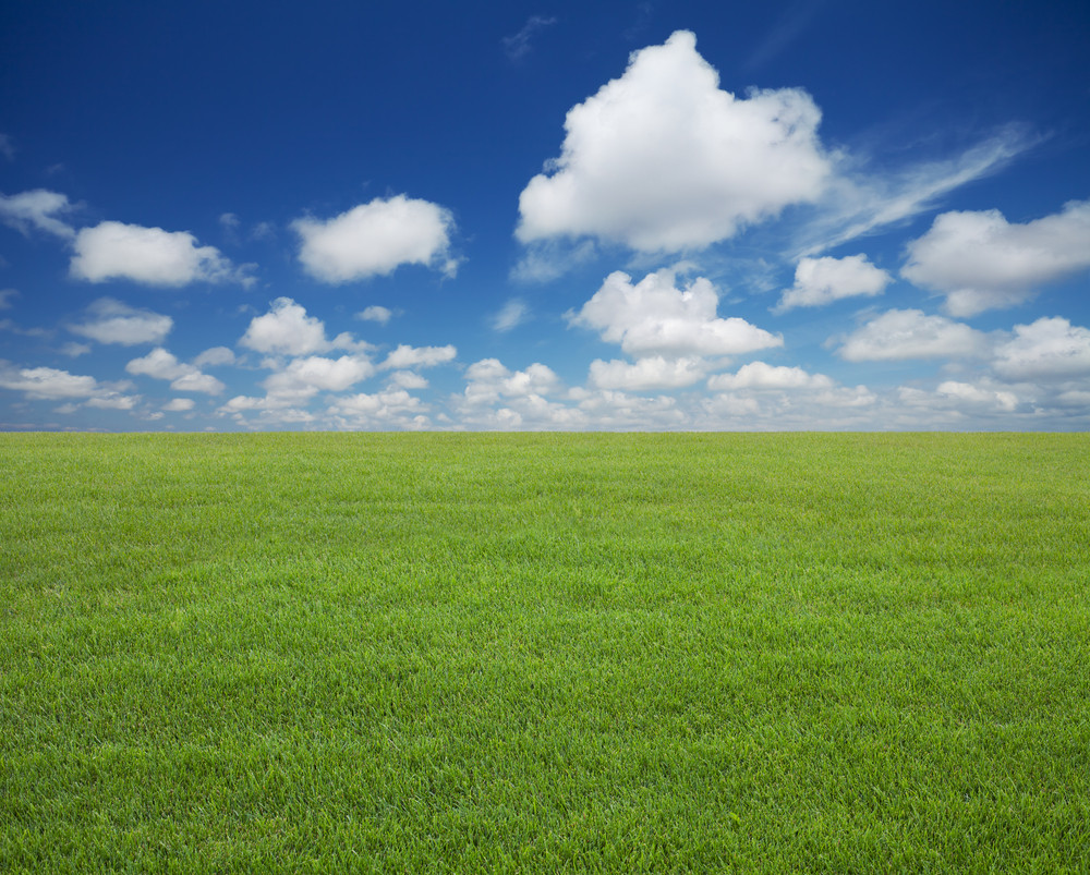 Green lawn with blue sky Royalty-Free Stock Image - Storyblocks