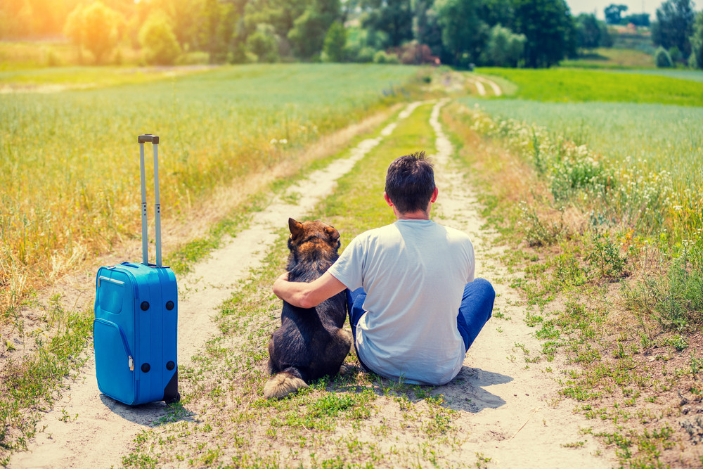 Man traveler sitting with a dog and travel bag on a dirt road in the field in summer back to the camera. Man hugging the dog and thinking about his journey