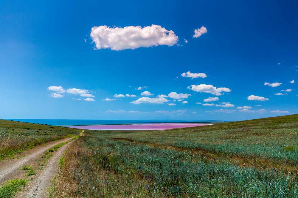 Road to the pink lake in the steppe near the sea
