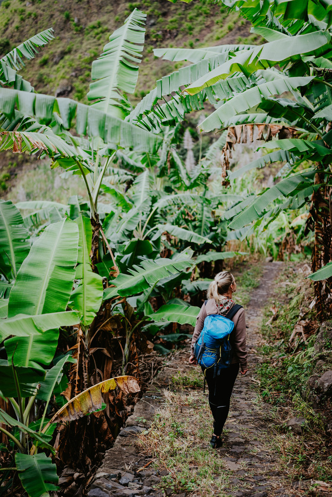 Blond young women with blue backpack walking through banana plantation on the trekking route to Paul valley. Santo antao island. Cape verde