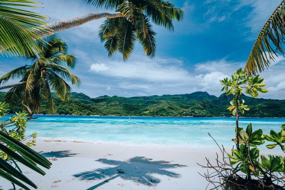 Panorama of tropical beach lush vegetation blue lagoon on bright sunny day. Vacation holidays concept. Exotic place paradise getaway, dream vacation