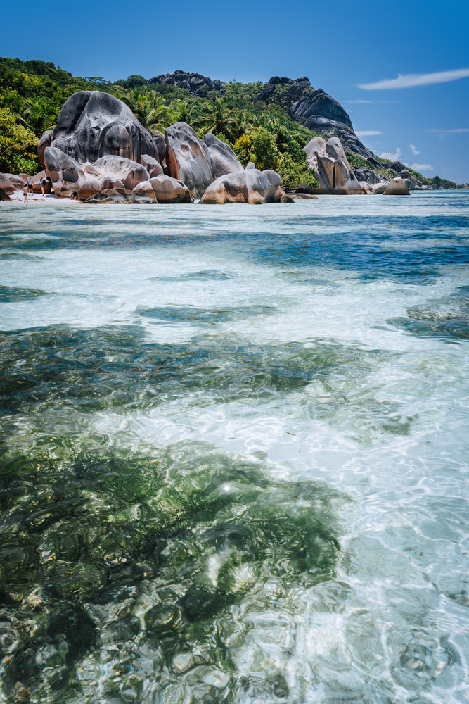 Shallow water with algal plants in front of unique Anse Source D'Argent tropical beach, La Digue Seychelles. Luxury exotic travel concept