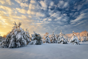 Snow Covered Winter Countryside At The Sunset In Latvia Royalty-Free ...