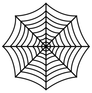 spider design