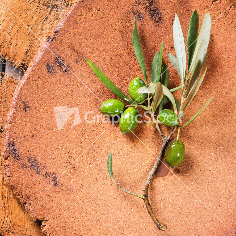 List 102+ Images What Does An Olive Branch Look Like Completed