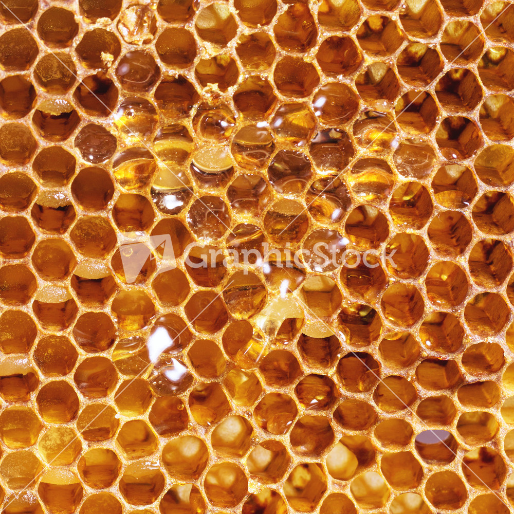 Honeycombs