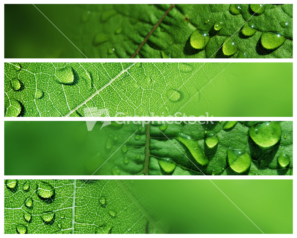 Banners - Water Drops In Nature