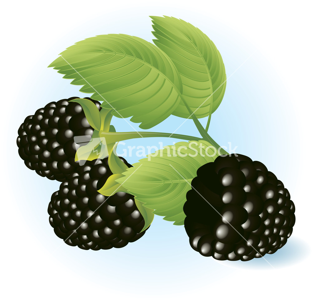 Stock options blackberry