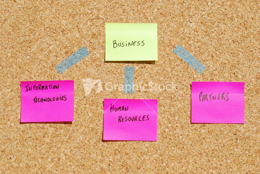 Business Organization Components