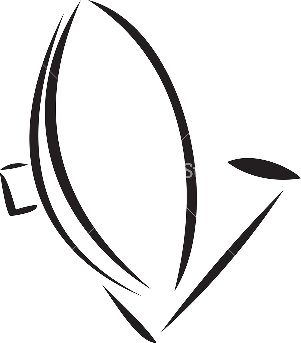 Dish stock options
