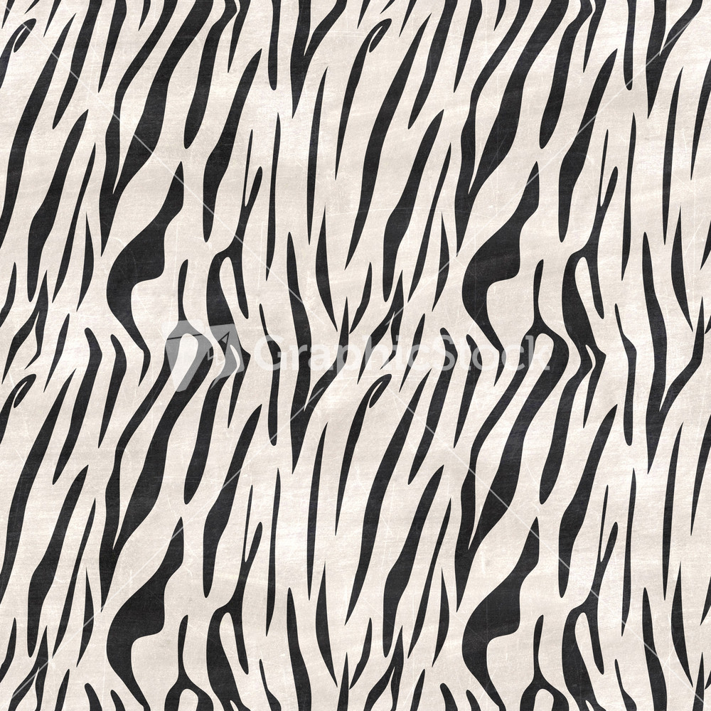 Black And White Zebra Print Chalkboard Safari Pattern