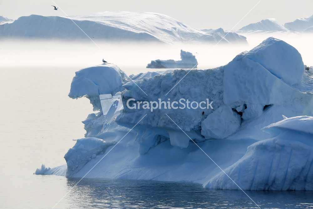 Bird perched on a sunlit iceberg on a foggy day