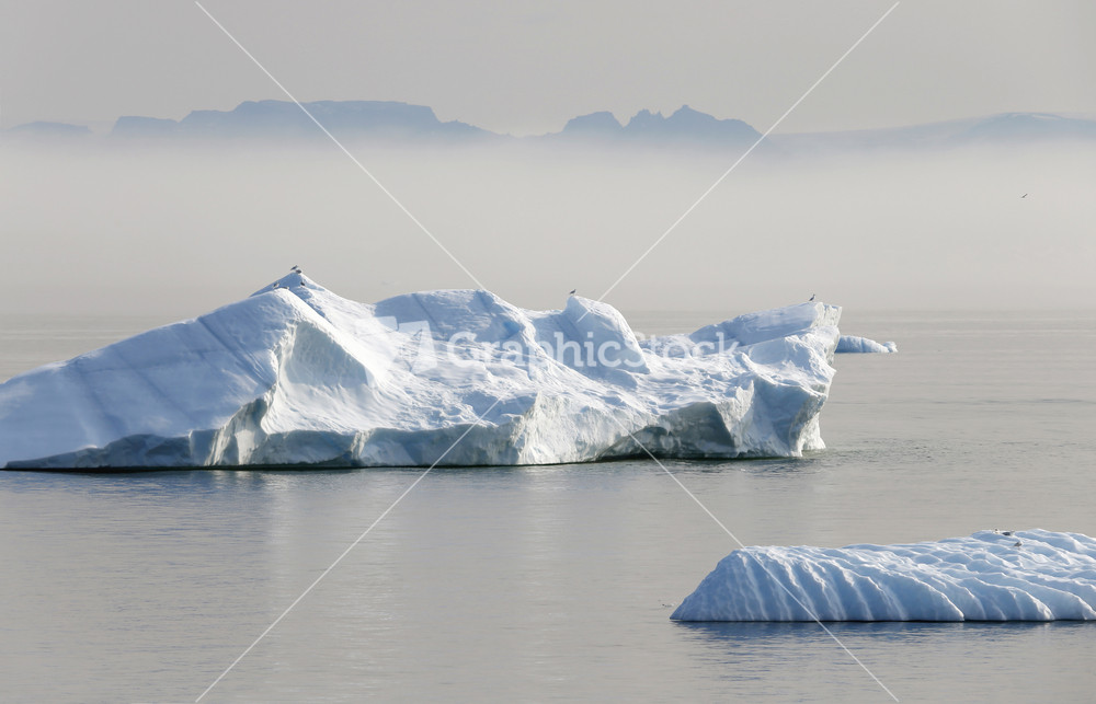 Birds perched on a sunlit iceberg with fog in the background