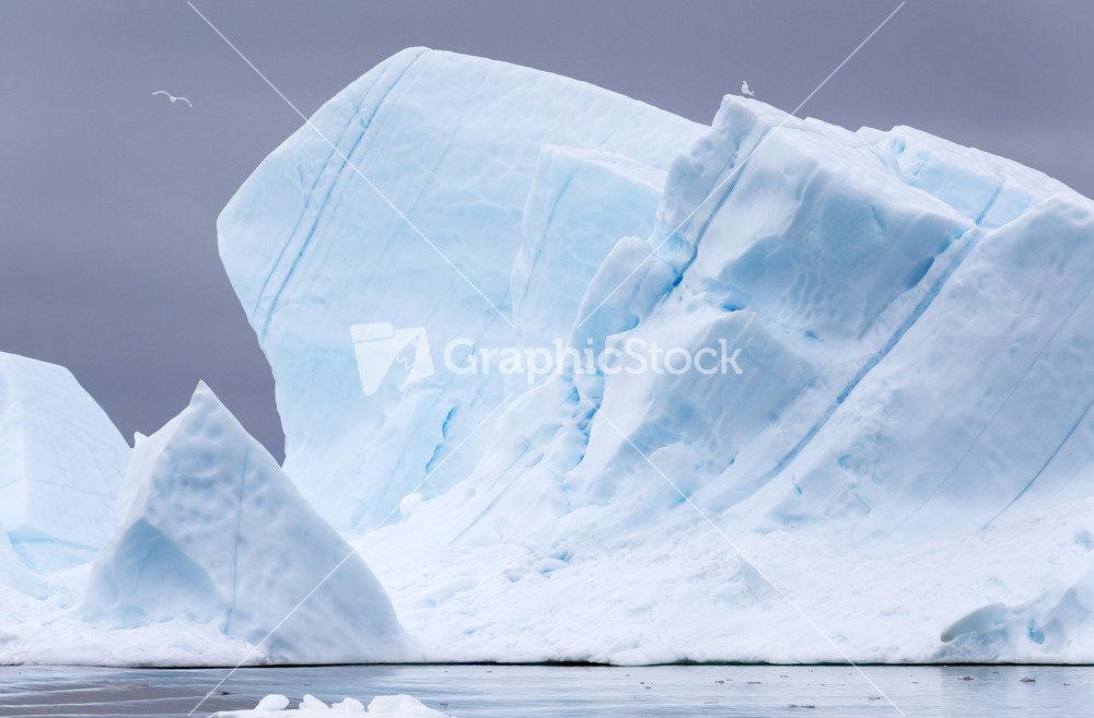 Pair of birds on a towering iceberg against a grey sky