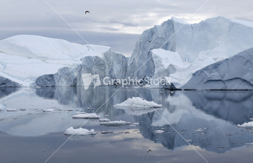 Icebergs reflected under a grey sky with birds overhead