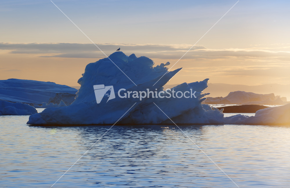 Bird perched on an iceberg at sunset