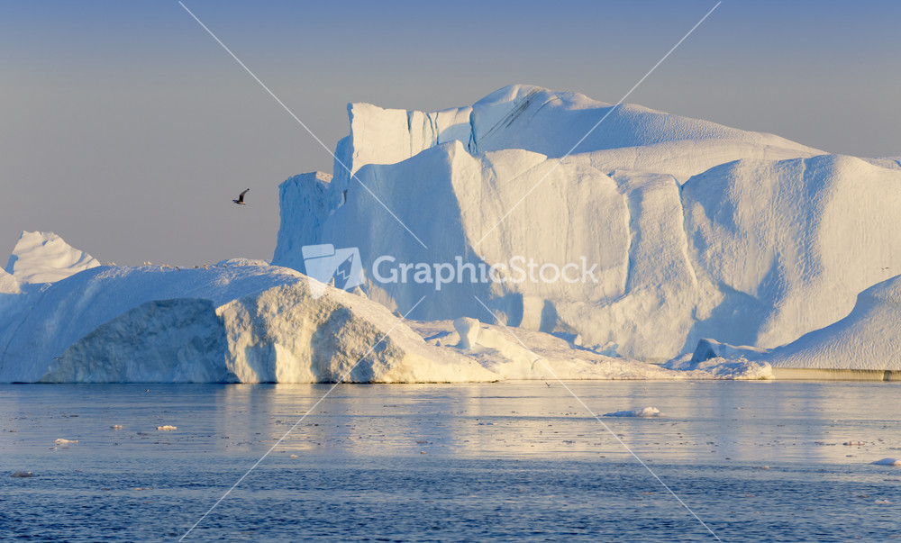 Bird flying over sunlit icebergs at dawn