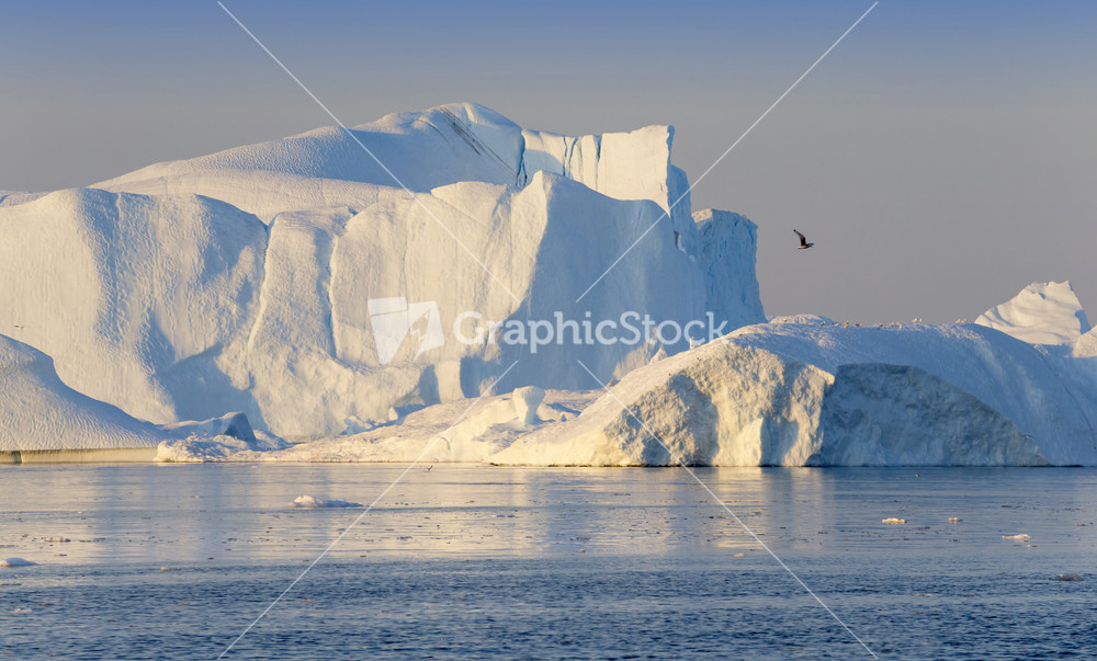 Bird flying over a sunlit iceberg