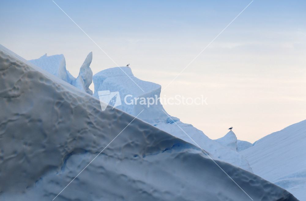 Pair of birds perched on an iceberg at dawn