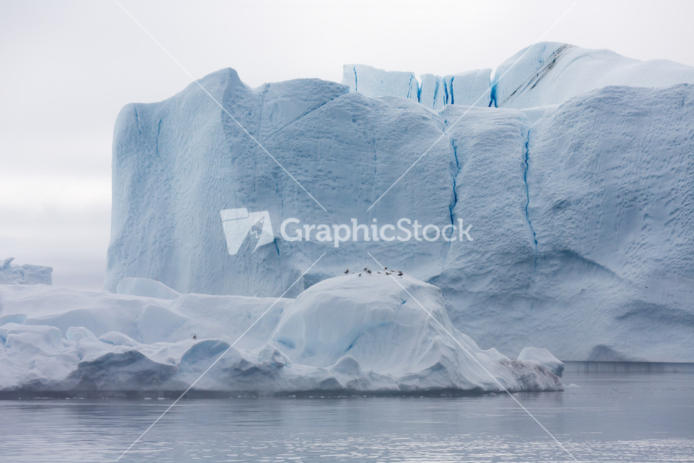 Flock of birds perched on a towering iceberg under a grey sky