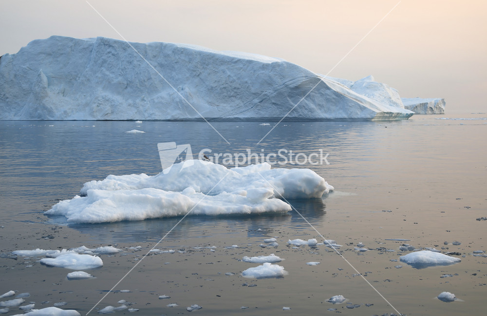 Iceberg and a bird perched on an ice floe on a foggy day