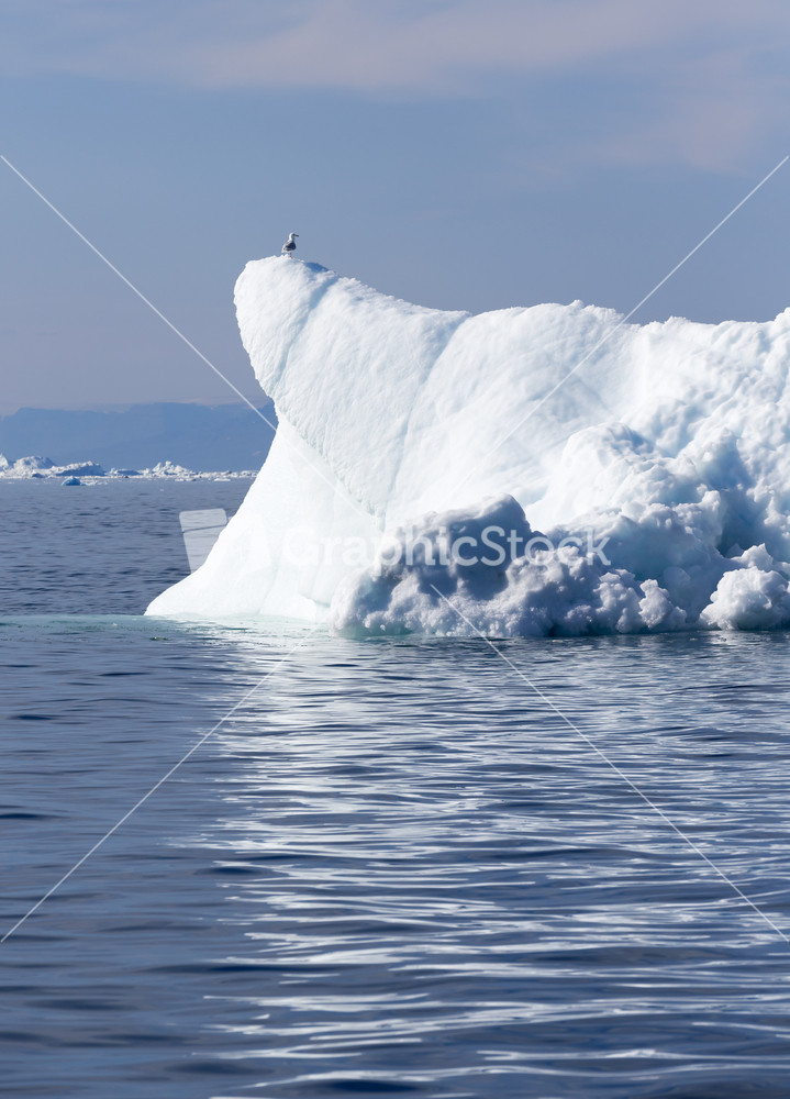 Bird perched on a sunlit iceberg along the coast