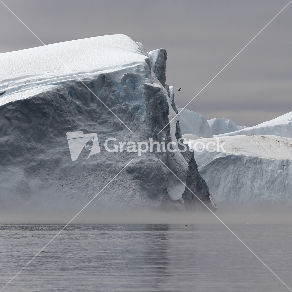 Bird flying past an iceberg on a foggy day