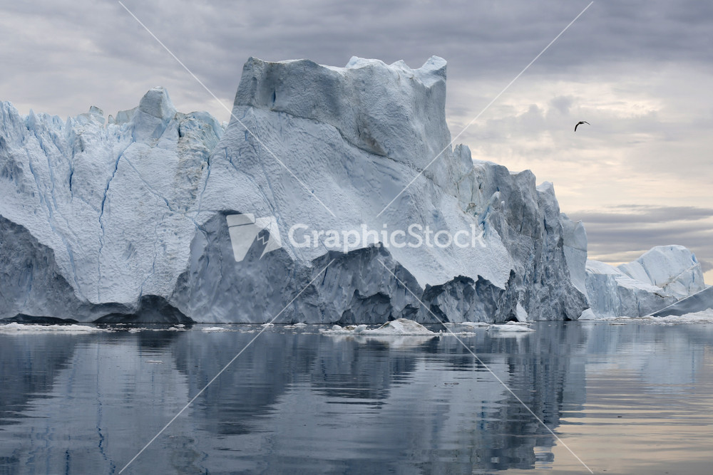 Bird flying over an iceberg reflected in icy waters under a grey sky