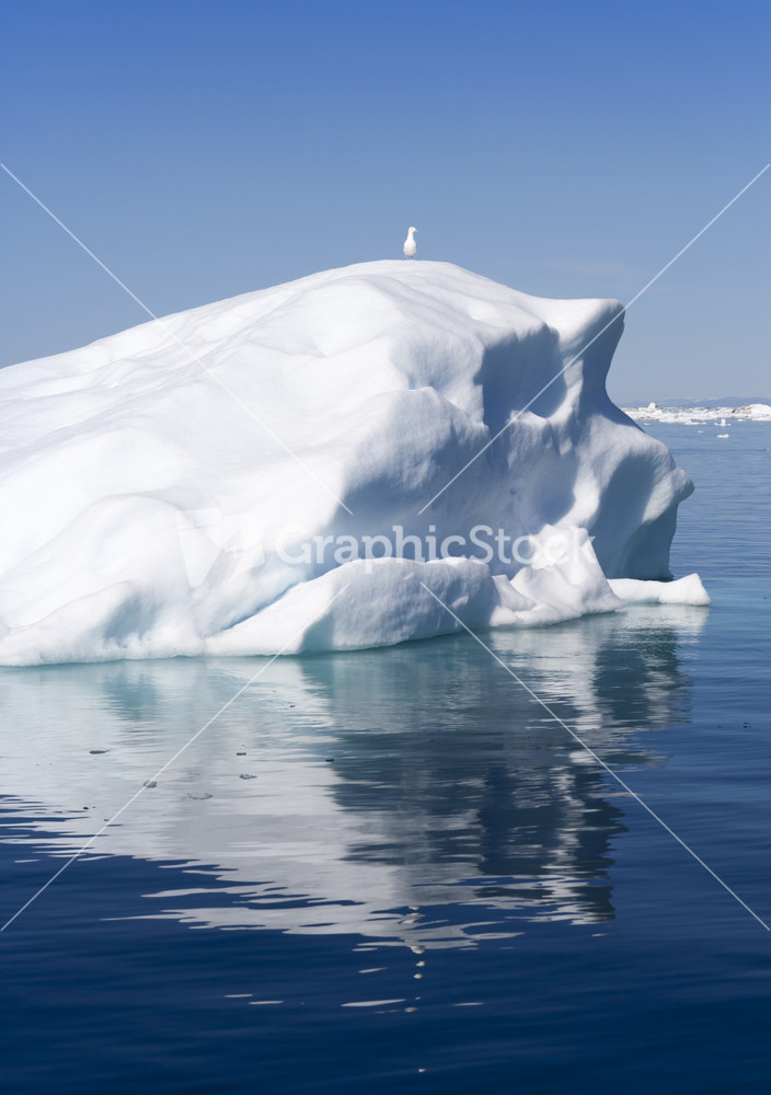 Bird perched on a sunlit iceberg at dawn