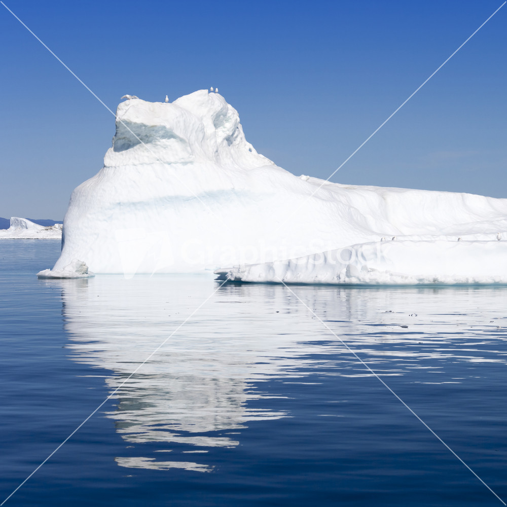 Birds perched on a sunlit iceberg at dawn