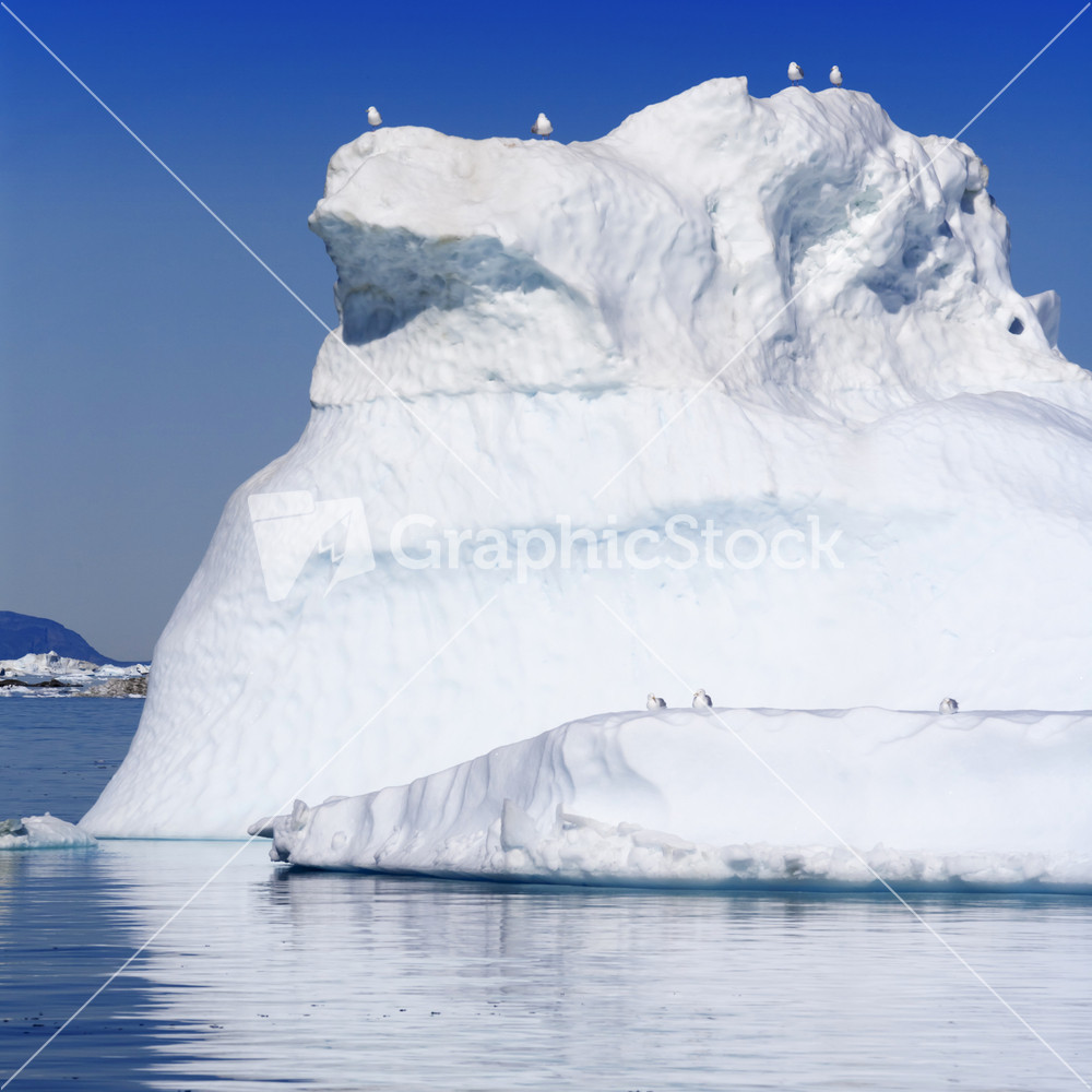 Birds perched on a sunlit iceberg at dawn