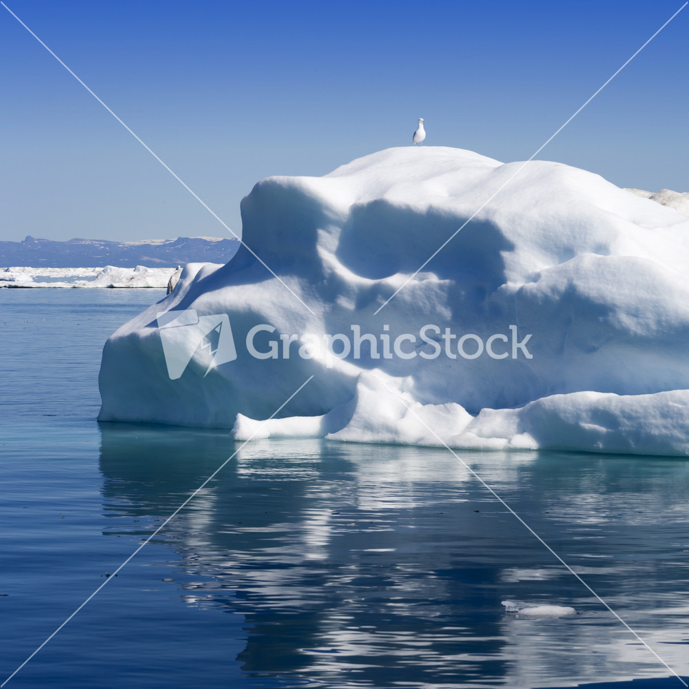 Bird perched on a sunlit iceberg at dawn