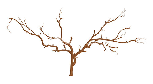 dead tree branches stock image dead tree branches stock image