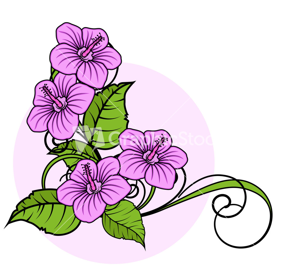 Decorative Flower | decorative flowers corner frame Decorative Flower | decorative flowers corner frame