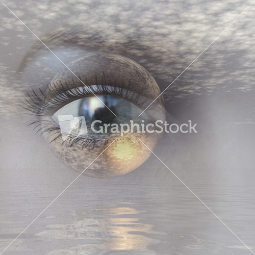 Eye