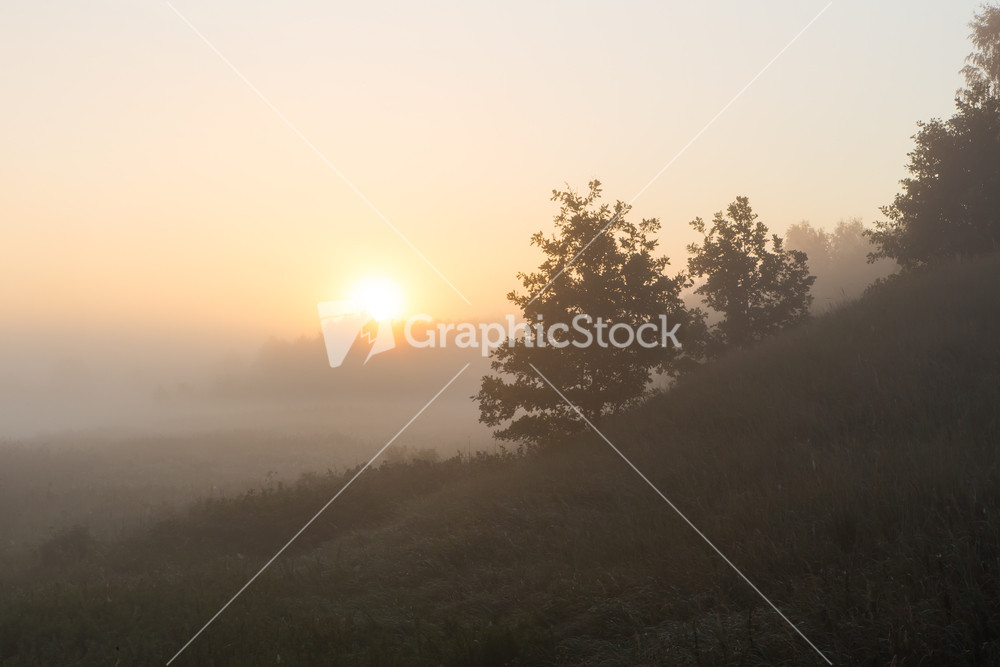 Beautiful sunrise over foggy meaodw. Tranquil landscape photographed on typical polish countryside. Grass and plants with dewdrops produce fog and haze under warm sunlight. Summer landscape. photographed with full frame camera and wide angle lens.