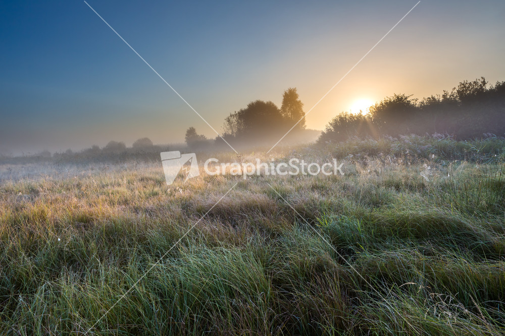 Beautiful sunrise over foggy meaodw. Tranquil landscape photographed on typical polish countryside. Grass and plants with dewdrops produce fog and haze under warm sunlight. Summer landscape. photographed with full frame camera and wide angle lens.
