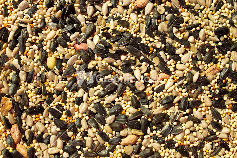 Mix Seeds For Birds