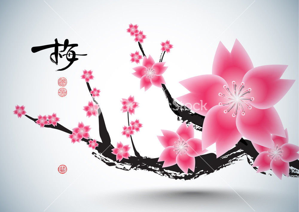 Plum Blossom. Translation Plum