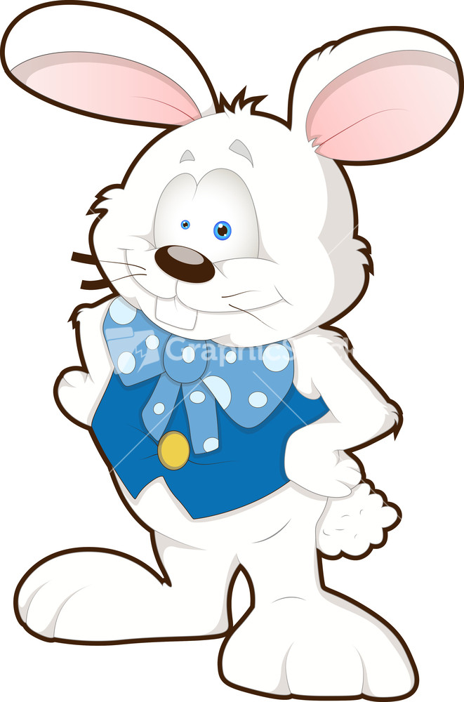 Rabbit - Cartoon Character
