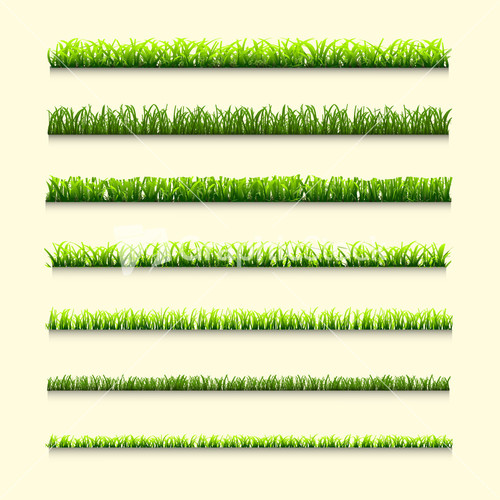 6 Different Types Of Green Grass Stock Image