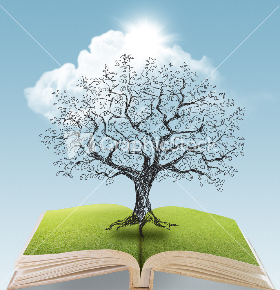 Tree Being Drawn Over Open Book 2