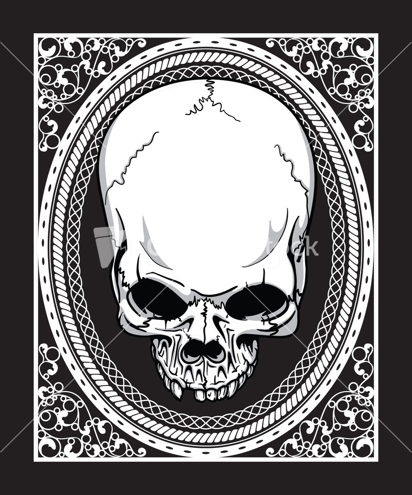 skull frame vector Frame T Vector shirt Skull Stock Design With Image Retro