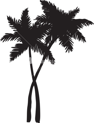 Palm Trees Royalty-Free Vectors, Illustrations and Photos