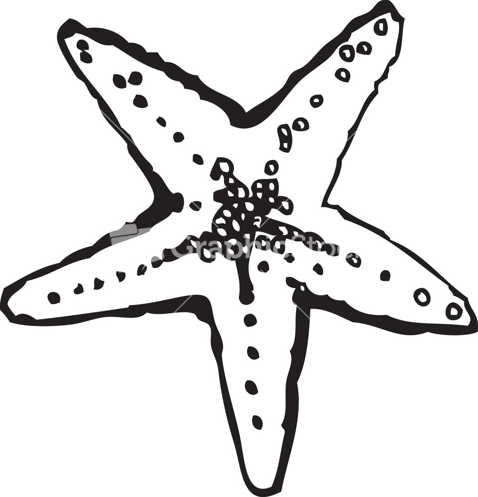 Vector Sea Star