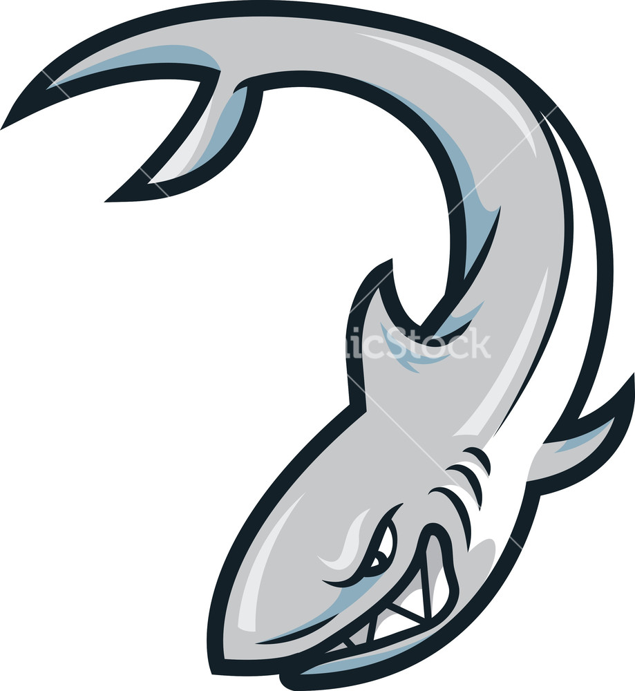 Vector Shark Mascot