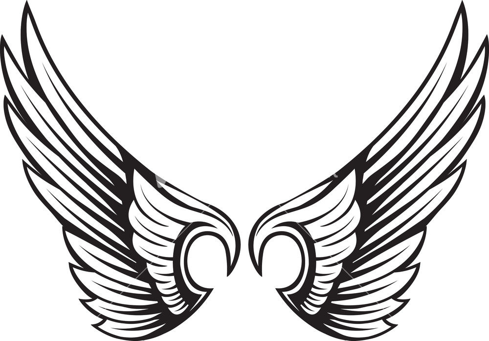 vector clip art wings - photo #30
