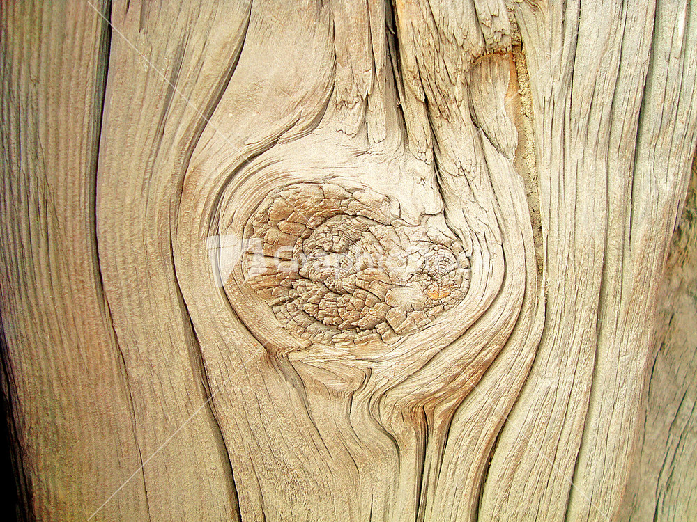 Wood_texture_knot