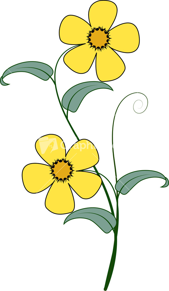 Yellow Flower Branch